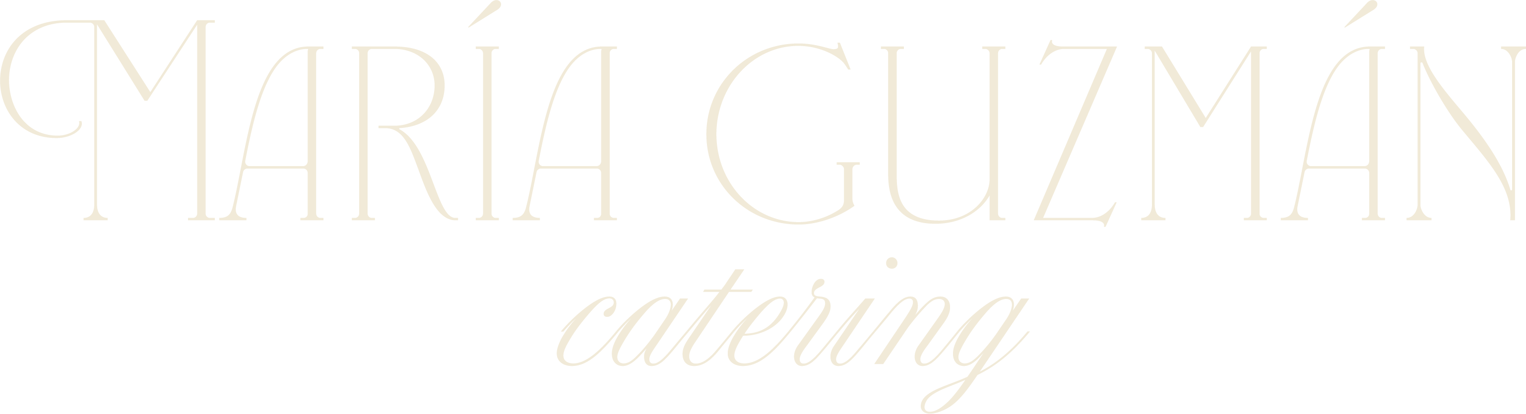 María Guzmán Catering